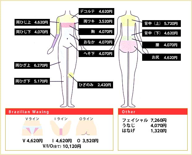 WAX XXX 価格